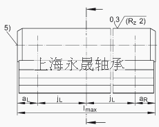 INA 导轨 TSNW25-G4, 实体轮廓，从上面安装，带一根轨道轴，精度等级G4；可提供耐腐蚀设计