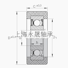 INA 滚轮 KLRZ12X41X16-2RSR, 带塑料箍，两侧密封