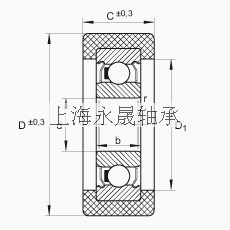 INA 滚轮 KLRZ10X30X10-2Z, 带塑料箍，两侧密封