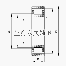 FAG 圆柱滚子轴承 N238-E-M1, 根据 DIN 5412-1 标准的主要尺寸, 非定位轴承, 可分离, 带保持架