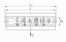 INA 直线执行器 MKUVE20-B-ZR, 带有四排球的滑块