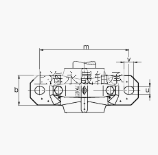 FAG 直立式轴承座 SNV215-L + 21320-E1-K-TVPB + H320X308 + DHV620, 根据 DIN 736/DIN737 标准的主要尺寸，剖分，带锥孔和紧定套的调心滚子轴承，V 型圈密封，脂和油润滑
