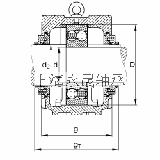 FAG 直立式轴承座 SNV215-L + 1320-M + TCV320, 根据 DIN 738/DIN739 标准的主要尺寸，剖分，带圆柱孔和紧定套的自调心球轴承，Taconite 密封，脂和油润滑
